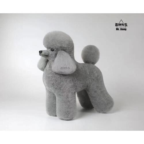 Mr. Jiang Poodle Lamb Clip Full Body Coat / Model Dog [Grey]