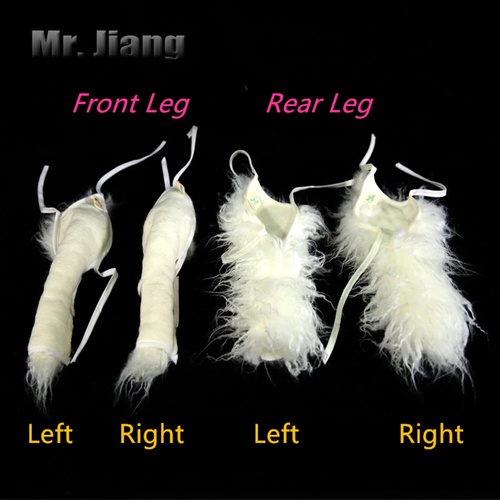 Mr. Jiang Practice Leg Hair [FRONT RIGHT] / Model Dog