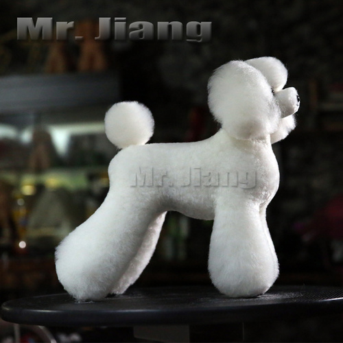Mr. Jiang Teddy Bear Full Body Coat / Model Dog [White]
