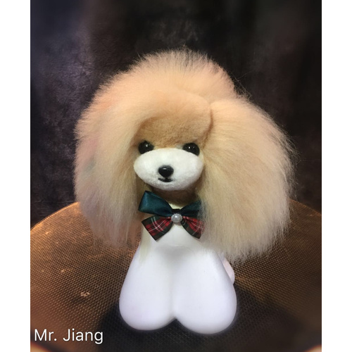Mr. Jiang Teddy Bear Head Hair / Model Dog [Champagne]