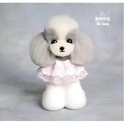 Mr. Jiang Teddy Bear Head Hair / Model Dog [Grey and White Mix]