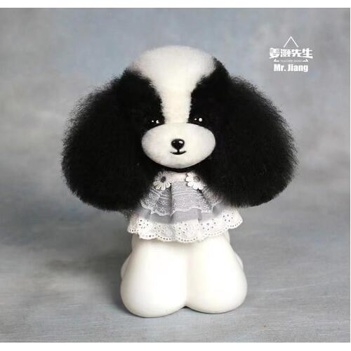 Mr. Jiang Teddy Bear Head Hair / Model Dog [Black and White Mix]
