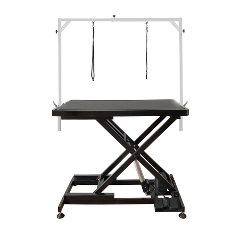 Shernbao Super Low-Low Electric Lifting Table [2021 Model]