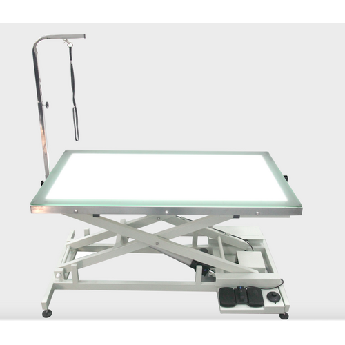Shernbao Electric Lifting Table with LED Light