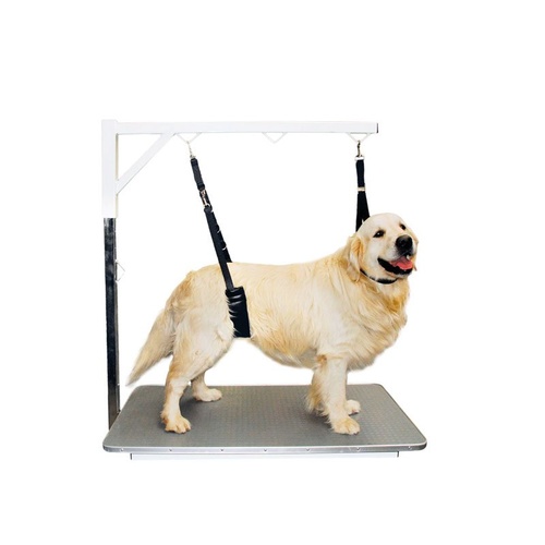Show Tech Comfort Belly Strap for Big Dog
