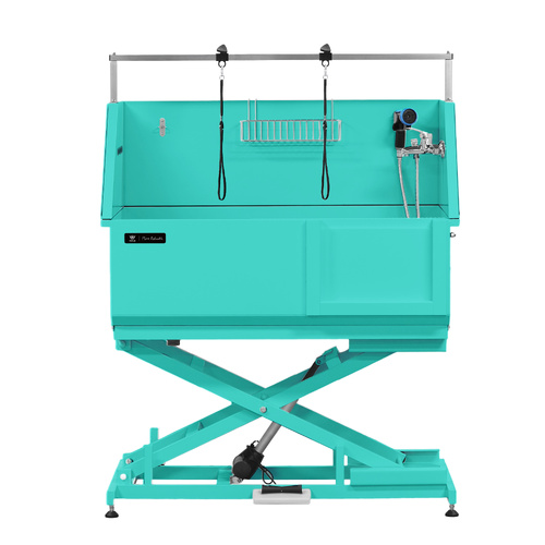 Aeolus All-In-One Electric Lifting Bath Tub (Sliding Door) with S/S Base - Teal