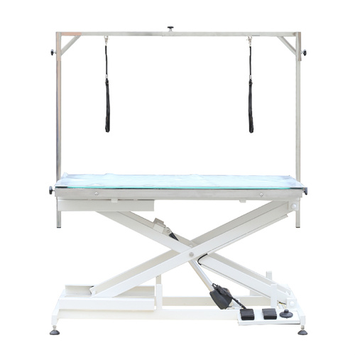Aeolus Electric Lifting Table with LED Light