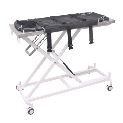 Aeolus Transportation Table with S/S Top and Removal Stretcher 