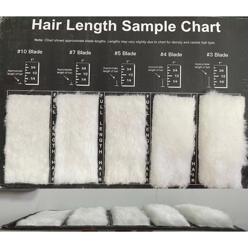Aeolus Hair Length Sample / Clip Chart