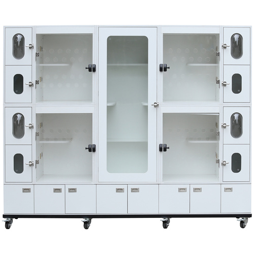 Aeolus Cat Cando Modular with Playground