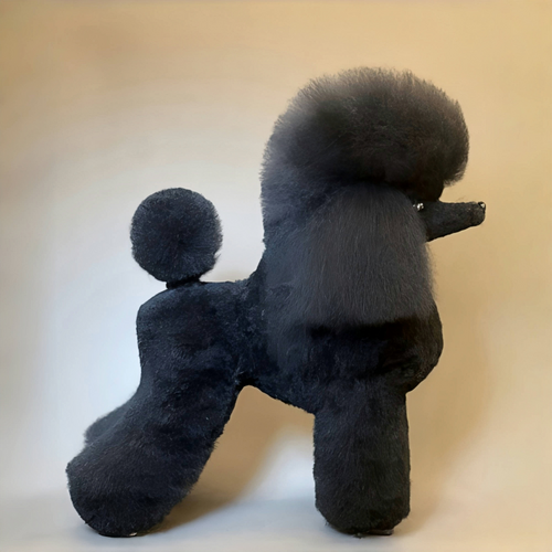 KissGrooming Competition Class Black Coat - Continental