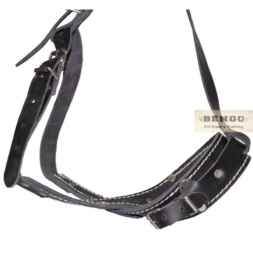 Bengo Loop-like Schutzhund Padded Leather Dog Muzzle